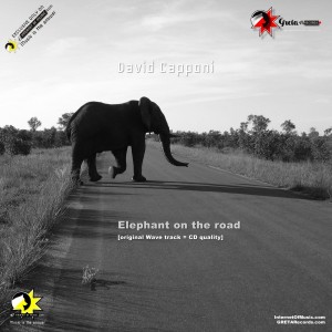 elephant-on-the-road, david capponi